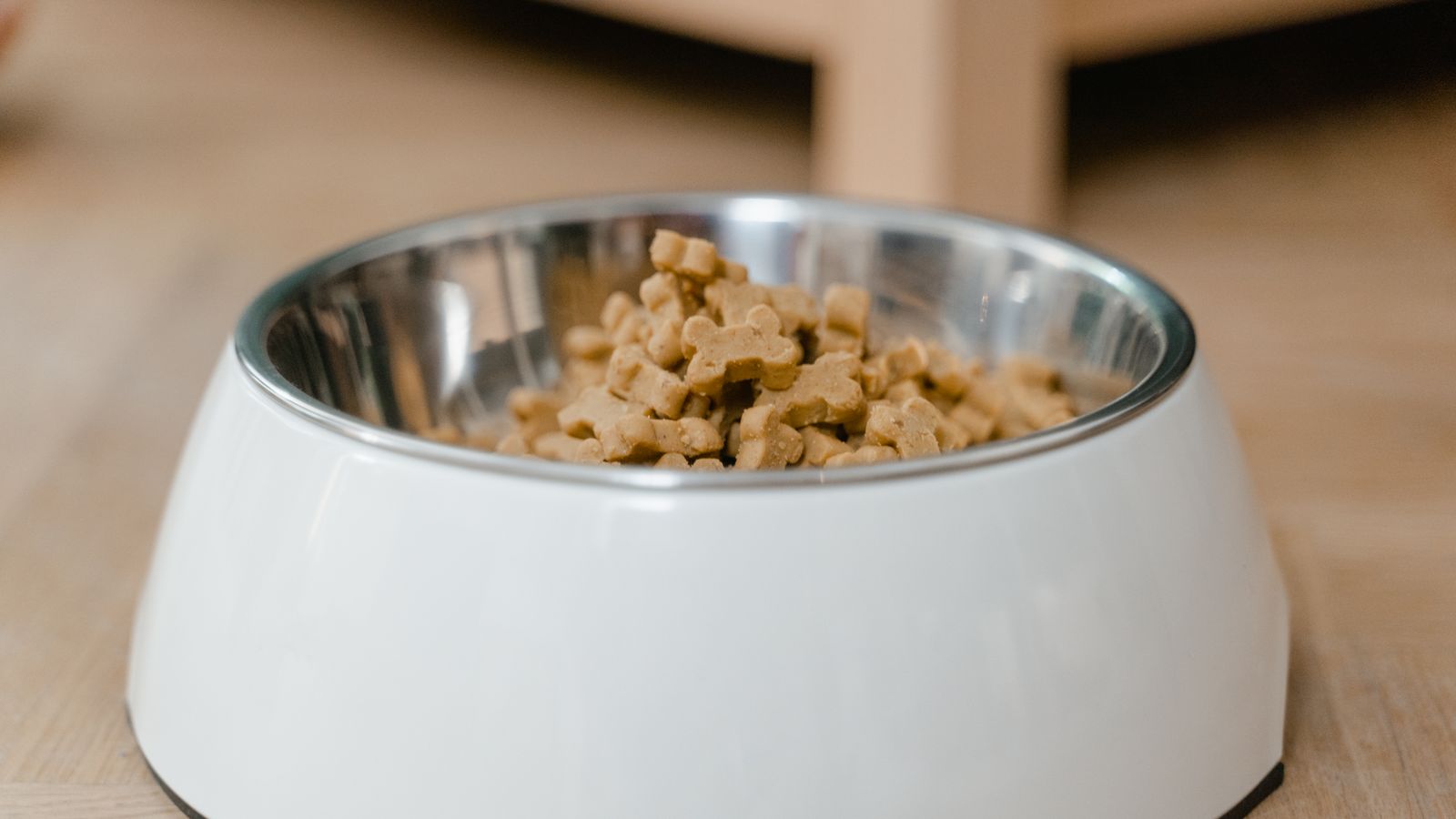 Cuánto pienso debe comer un perro al día (tabla por peso y edad)