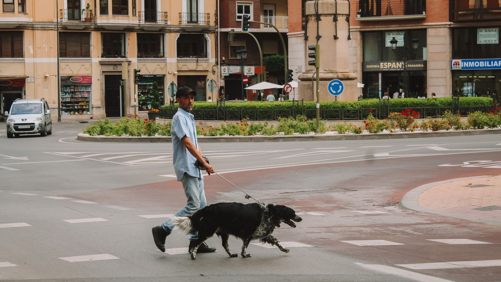 Seguro de responsabilidad civil para perros: guía y situación actual