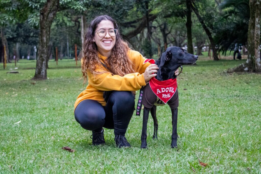 Perro mestizo contento, negro